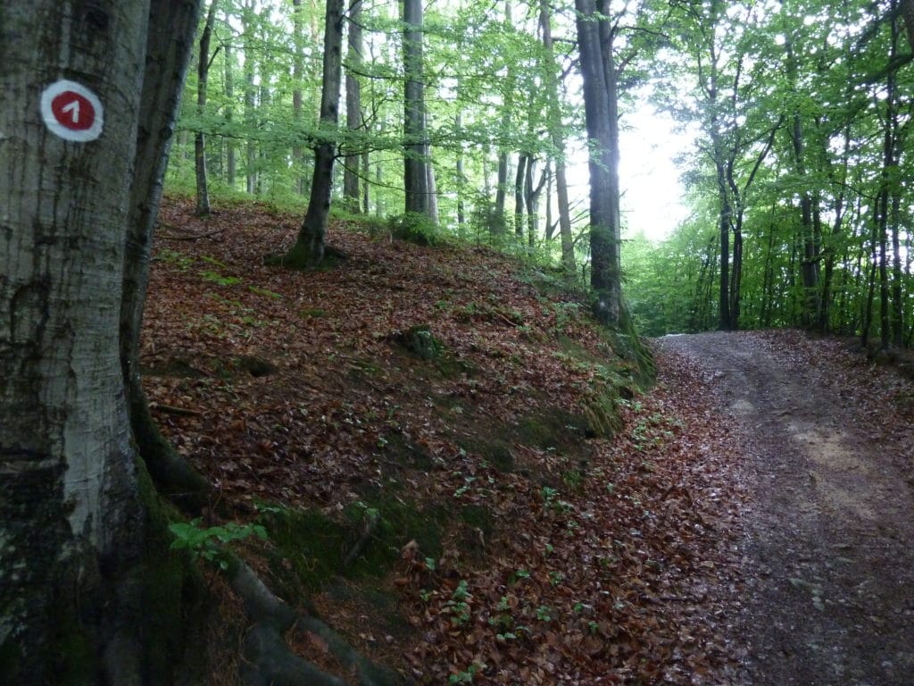 deggendorf-travel-rundwanderweg-muehlbogen-Rundwanderweg Mühlbogen Rundwanderweg Mühlbogen