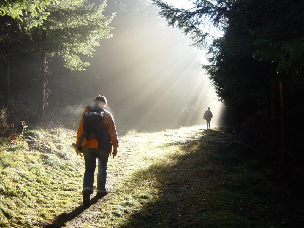deggendorf-travel-zielwanderweg-muehlbogen-Zielwanderweg Mühlbogen